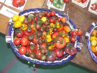 dscf3274