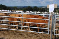 photo-010708-162