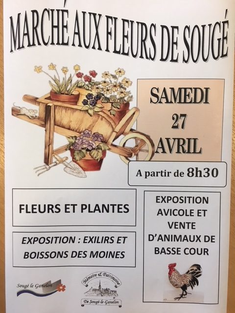 Marché aux fleurs et aux plants 2019