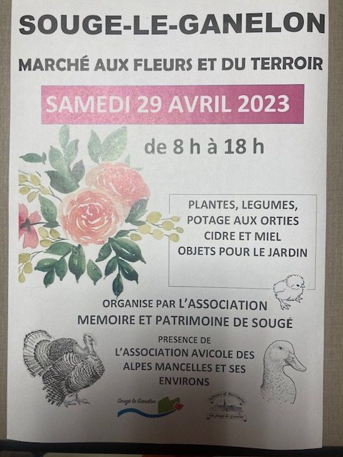 Marché aux fleurs et aux plants le 29.04.2023